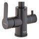 Змішувач для кухні Mixxus DAX-021-G Black (нерж. сталь) з вих.для пит.води (MI6078) MI6078 фото 2