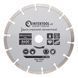 Диск відрізний сегментний алмазний, 180 мм, 16-18% INTERTOOL CT-1004 CT-1004 фото 1