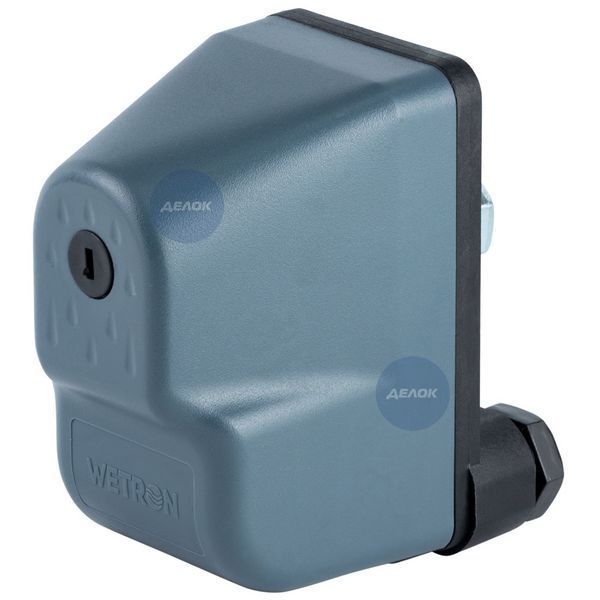 Реле давления 1.5кВт 1.4-2.8 бар (гайка) WETRON SK-9C/1.5HP (779731) 779731 фото